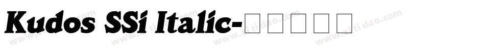 Kudos SSi Italic字体转换